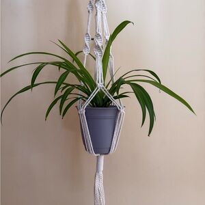 Macrame Plant Hanger